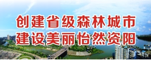 啊啊啊啊啊啊啊啪啪创建省级森林城市 建设美丽怡然资阳